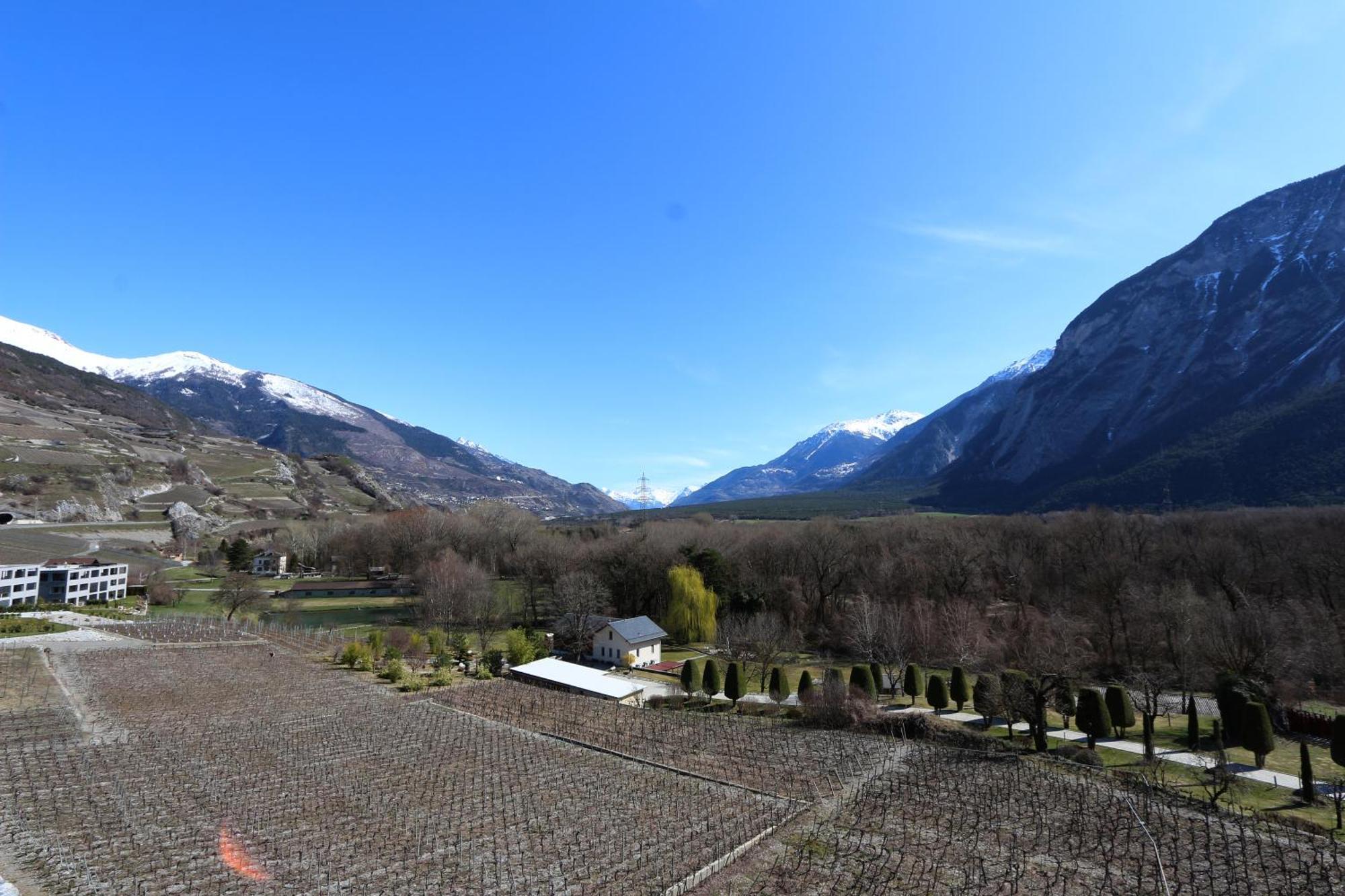 Bnb Vino Veritas Salgesch Bagian luar foto