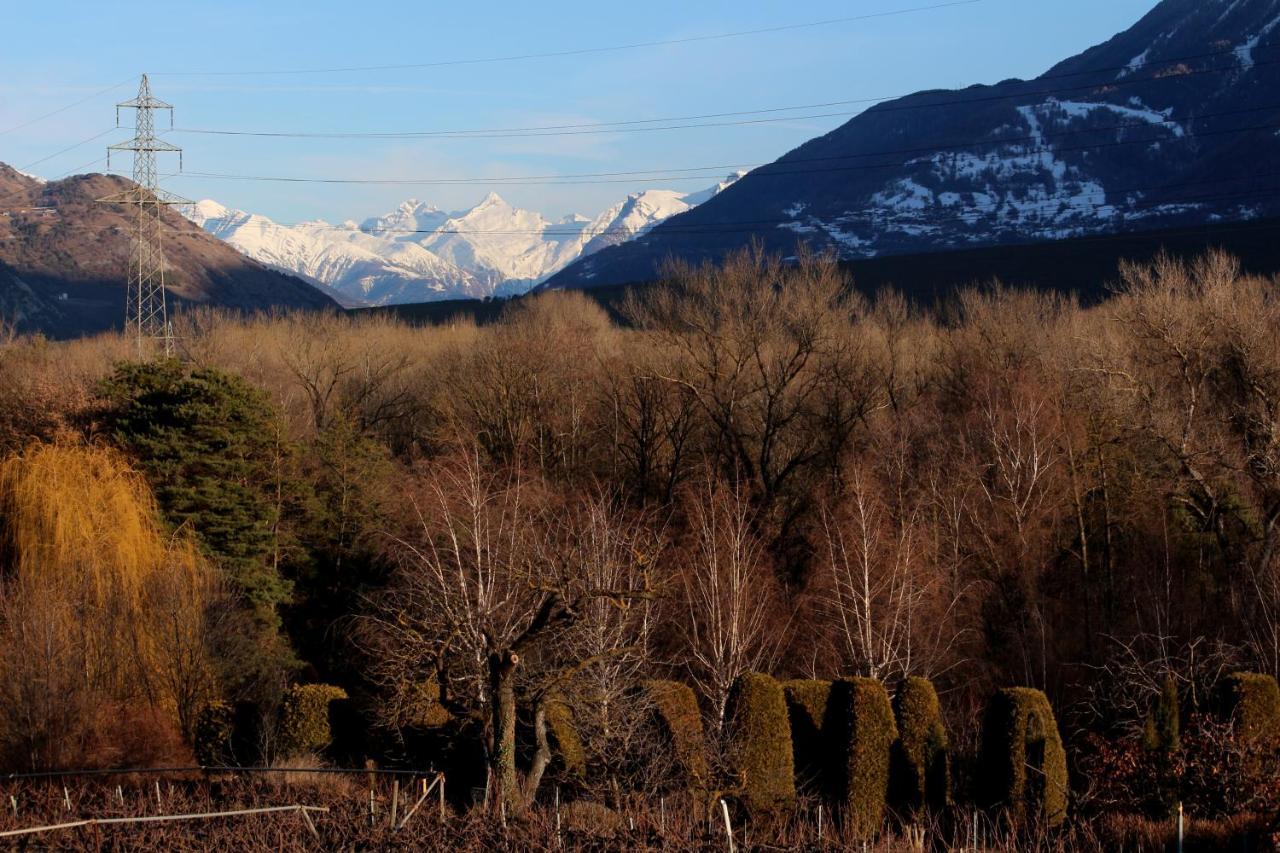 Bnb Vino Veritas Salgesch Bagian luar foto