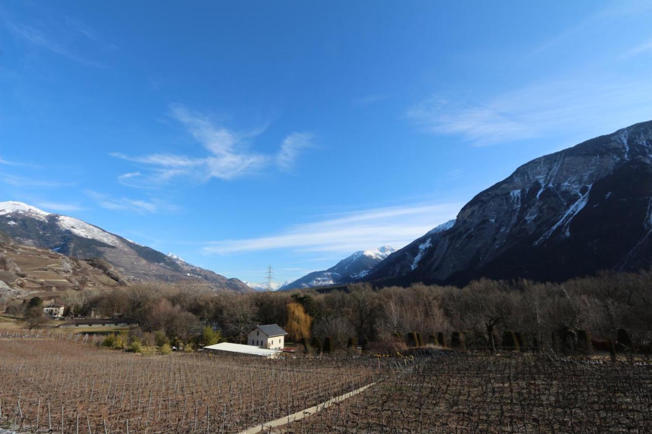 Bnb Vino Veritas Salgesch Bagian luar foto