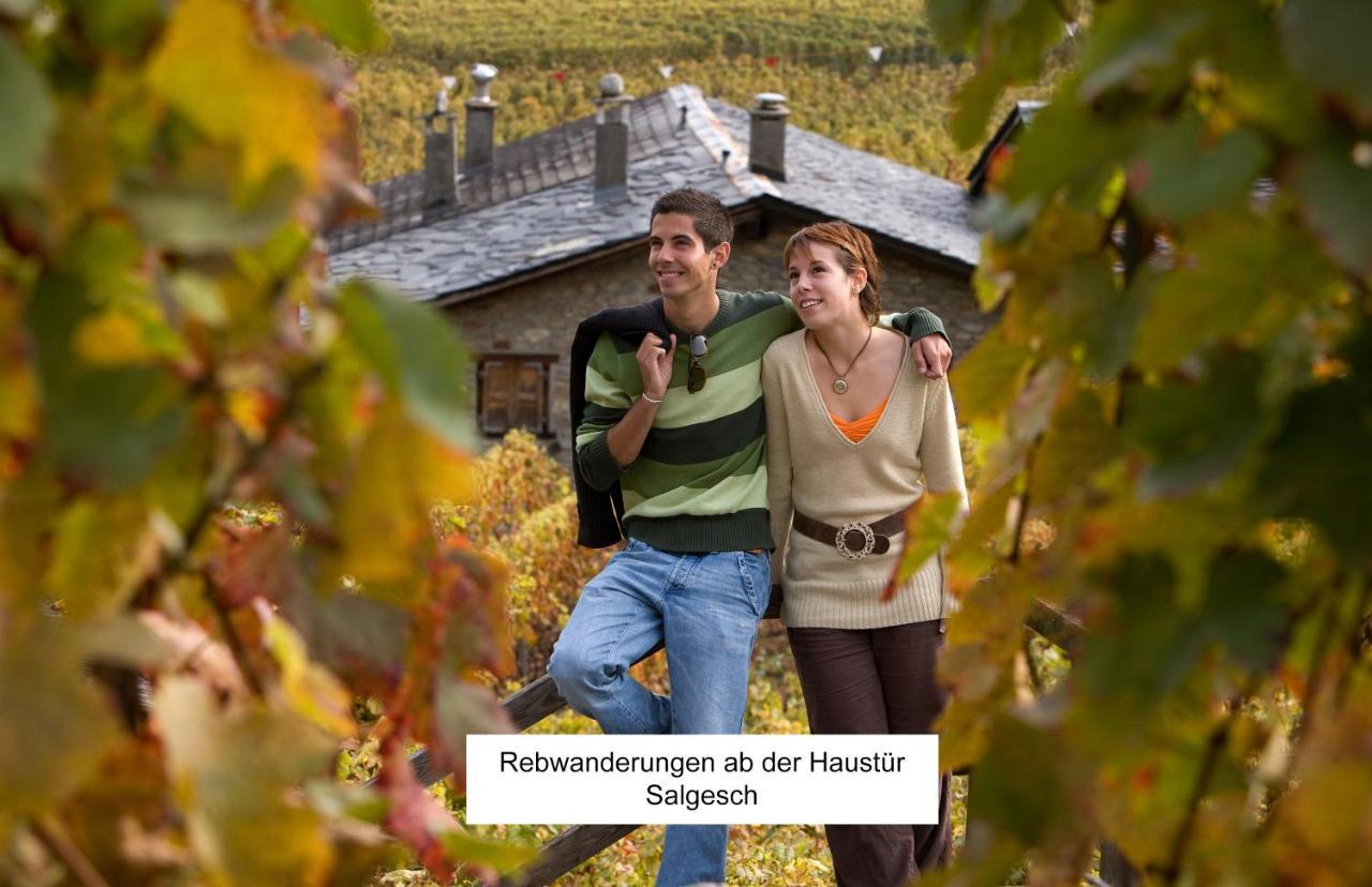 Bnb Vino Veritas Salgesch Bagian luar foto